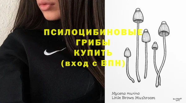 амф Абаза