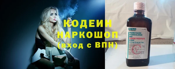 спайс Няндома
