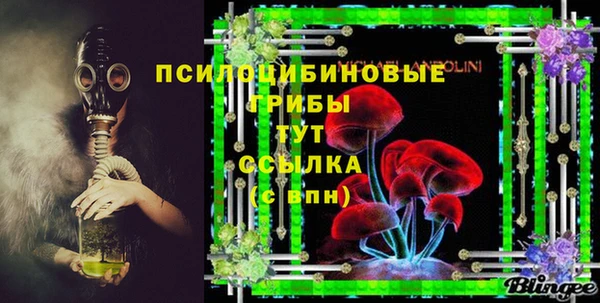 спайс Няндома