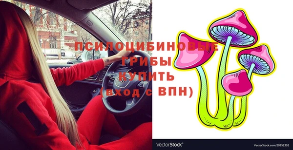 амф Абаза