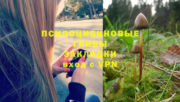 амф Абаза