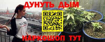 скорость Бийск