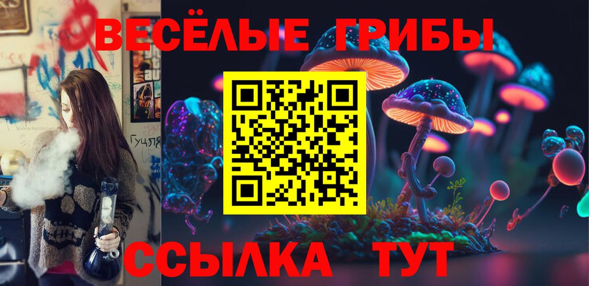 Галлюциногенные грибы GOLDEN TEACHER  Вход с VPN  цена наркотик  Звенигород 