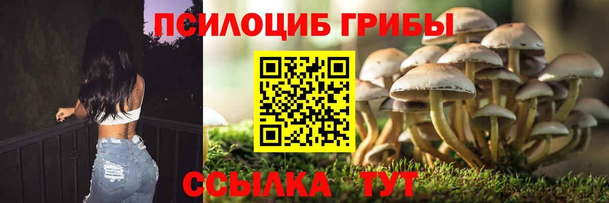 Псилоцибиновые грибы мухоморы Звенигород
